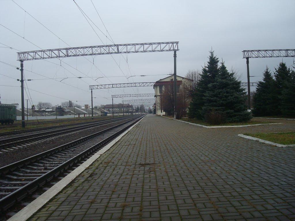 Підволочиськ з panoramio.com - Подволочиск