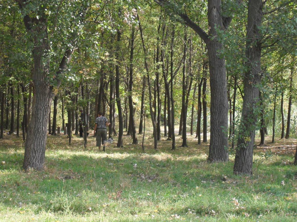 Пологи з panoramio.com - Пологи