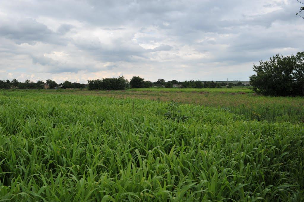 Бецилове з panoramio.com - Бецилово