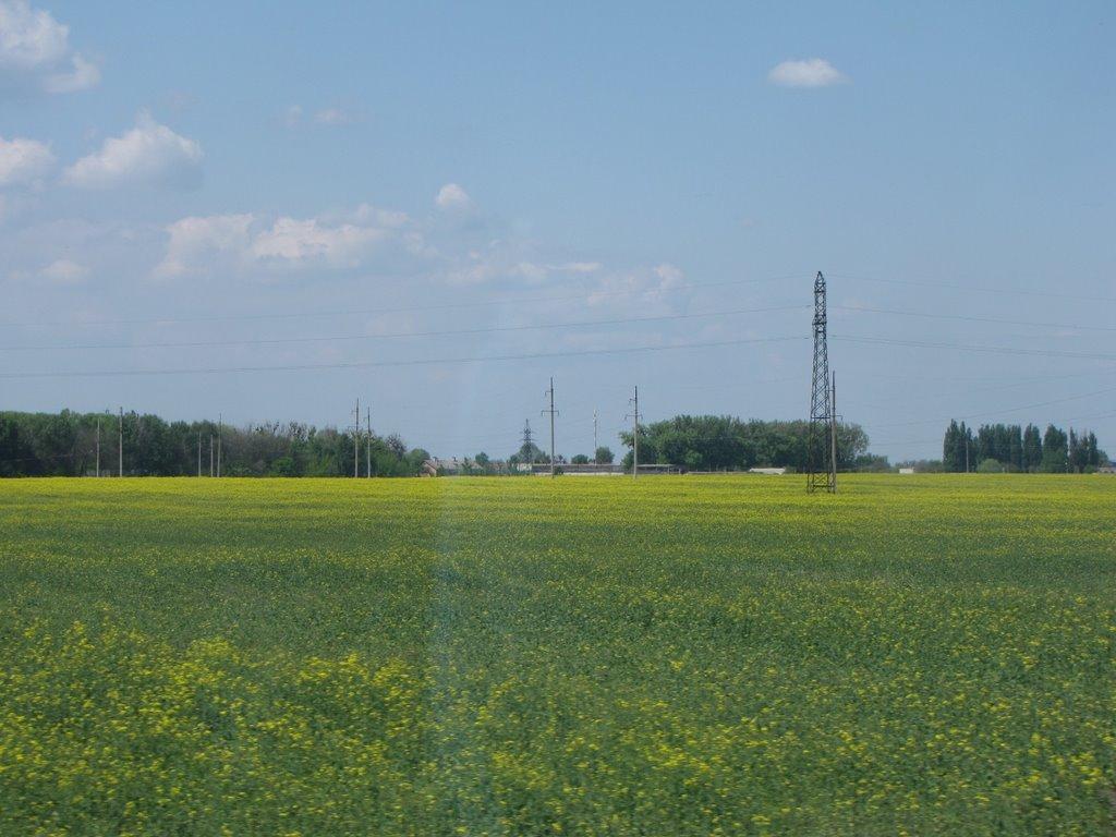 Обухів з panoramio.com - Обухов