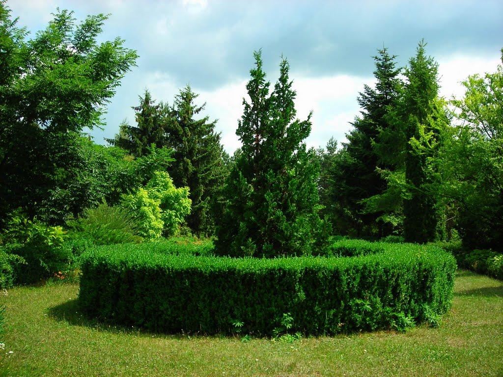 Васютинці з panoramio.com - Васютинці