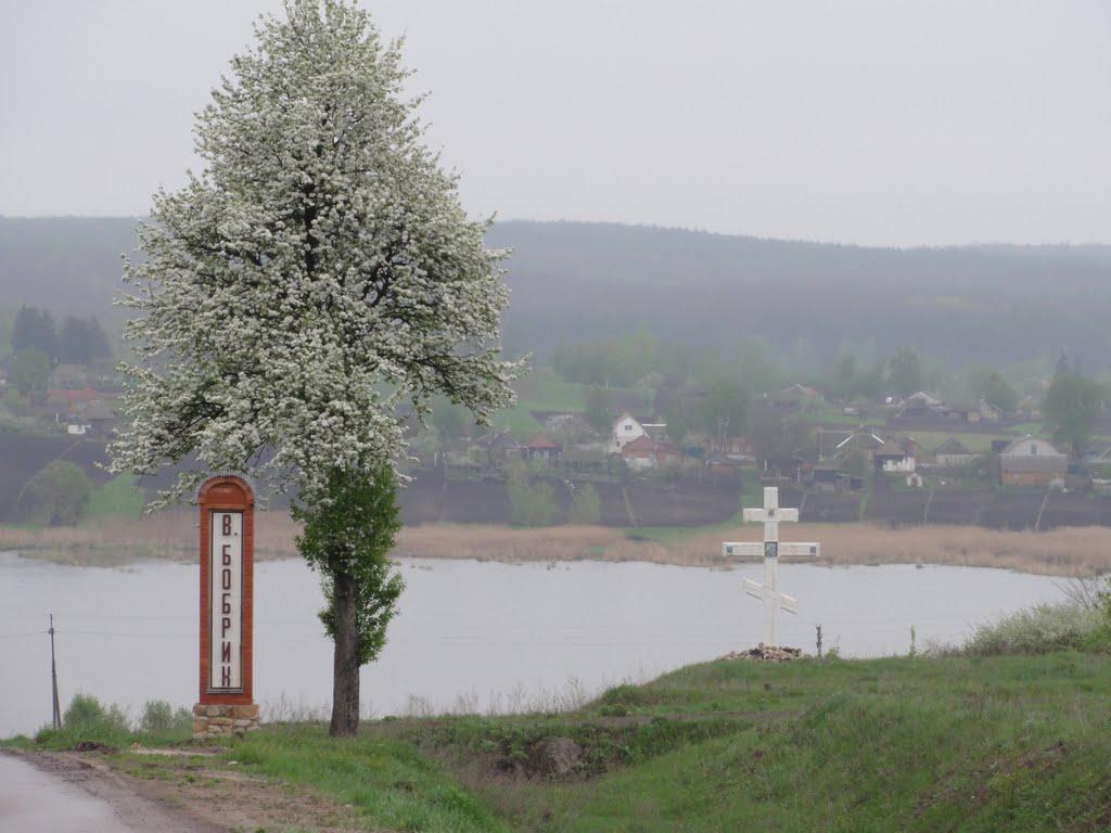 Великий Бобрик з panoramio.com - Великий Бобрик