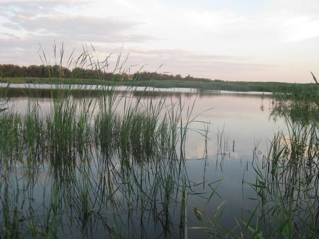 Богданівка з panoramio.com - Богданівка