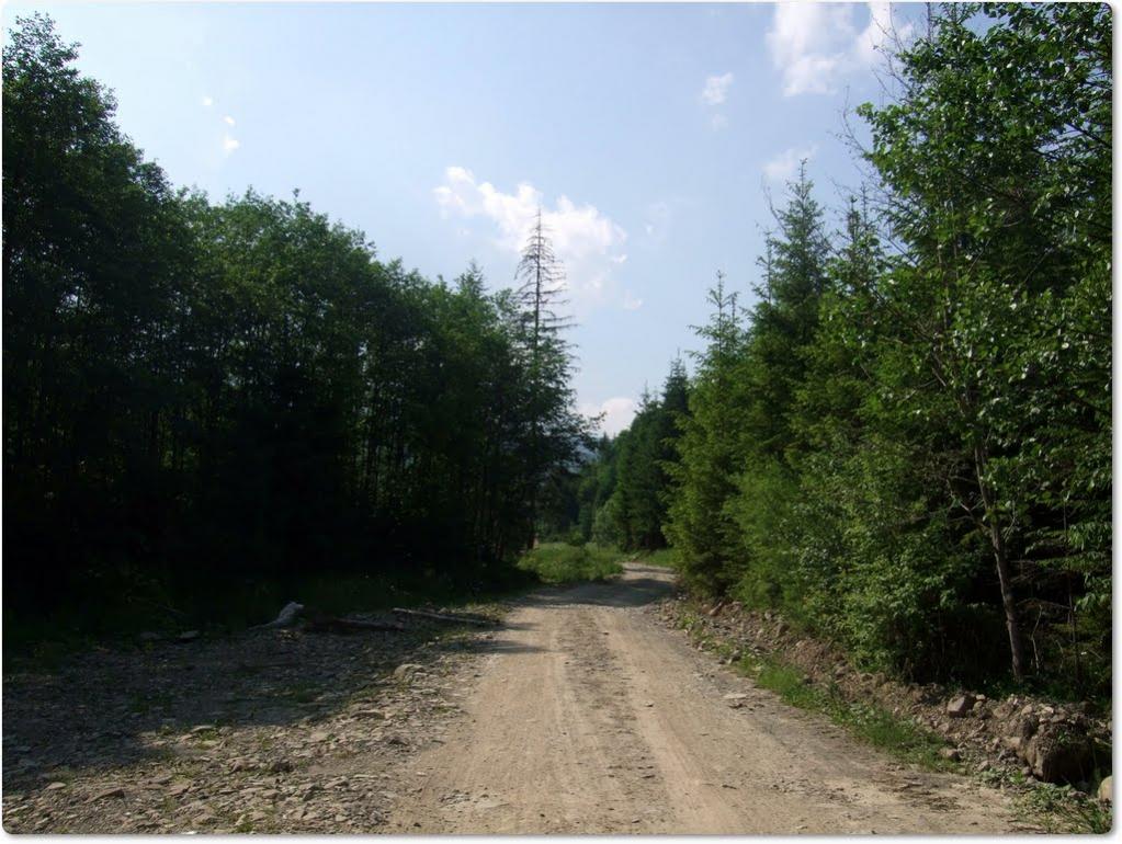 Фальків з panoramio.com (ч.2) - Фальків
