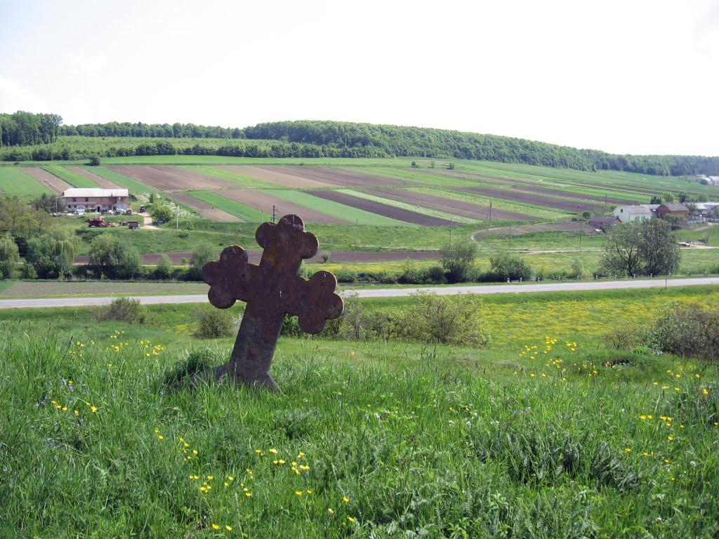 Микулинці з panoramio.com - Микулинці