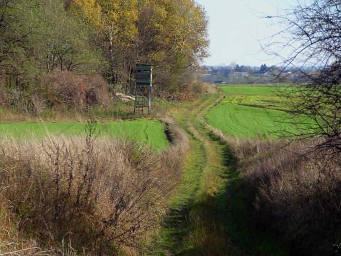 Корчів з panoramio.com - Корчів