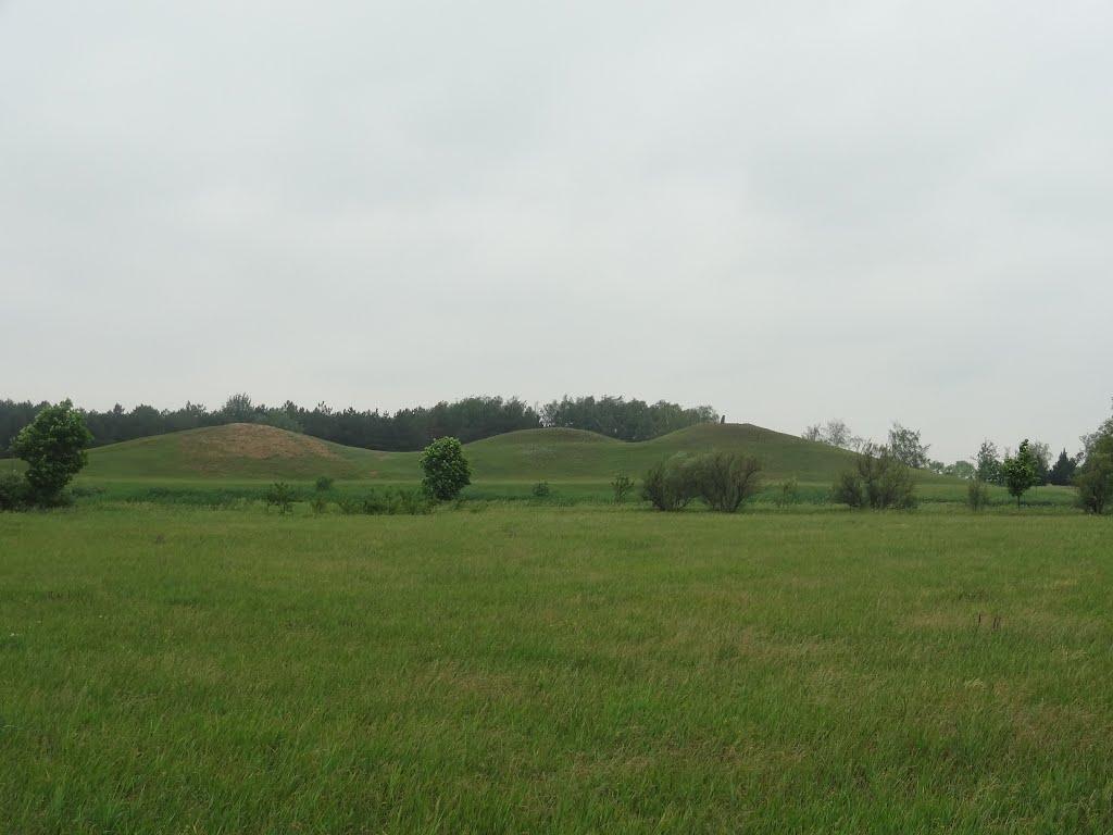 Асканія-Нова з panoramio.com - Askaniya-Nova