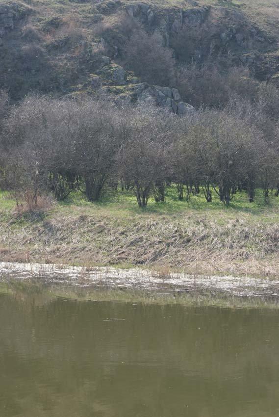 Розанівка з panoramio.com - Rozanivka