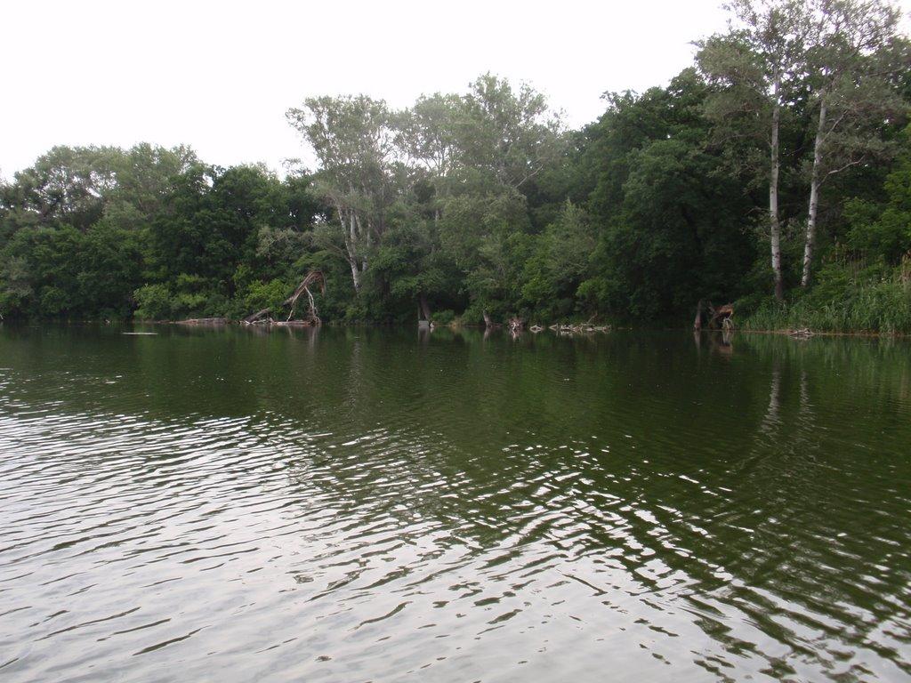 Кияшки з panoramio.com - Kyyashky