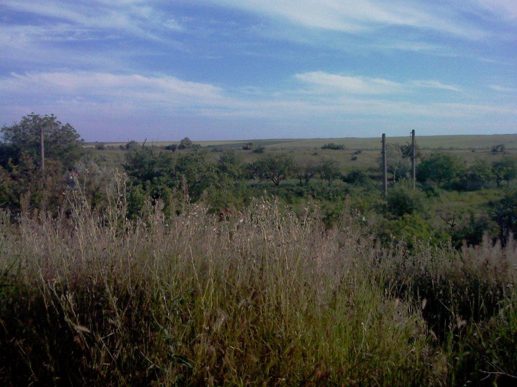 Приозерне з panoramio.com - Приозерне