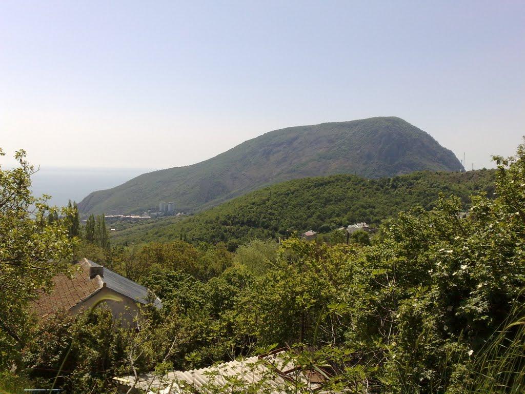 Запрудне з panoramio.com - Zaprudne