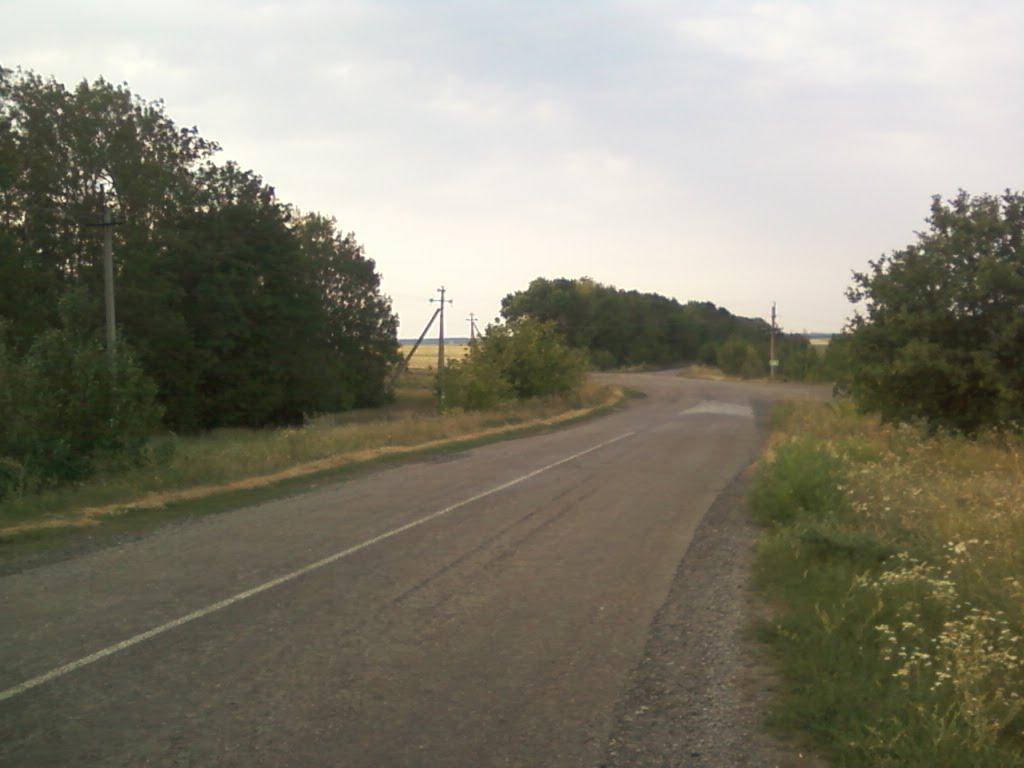 Новомиколаївка з panoramio.com - Новониколаевка