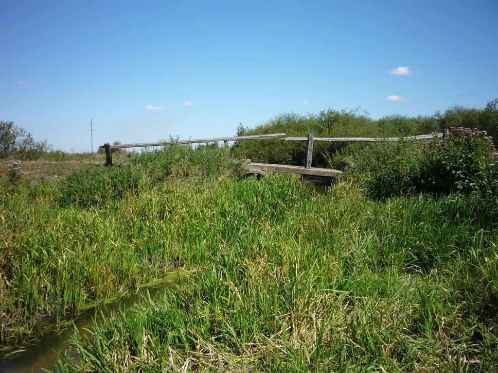 Дятилівка з panoramio.com - Дятилівка