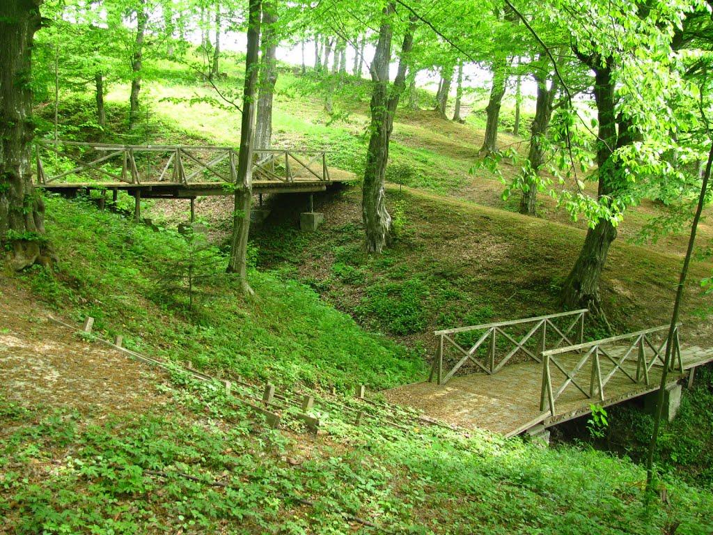 Лаврів з panoramio.com - Лаврів