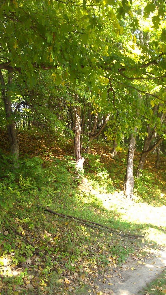 Рибальське з panoramio.com - Рибальське