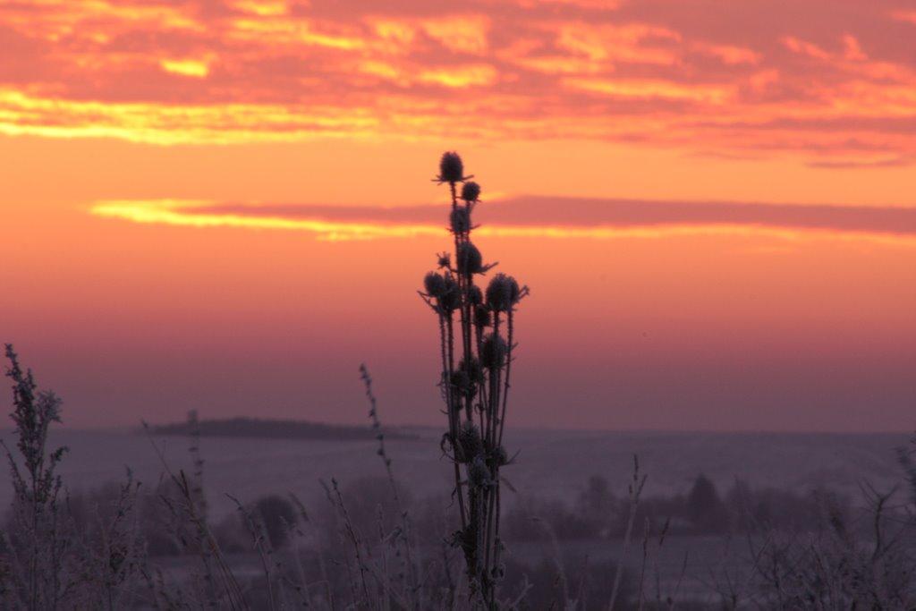 Чернихівці з panoramio.com - Chernykhivtsi