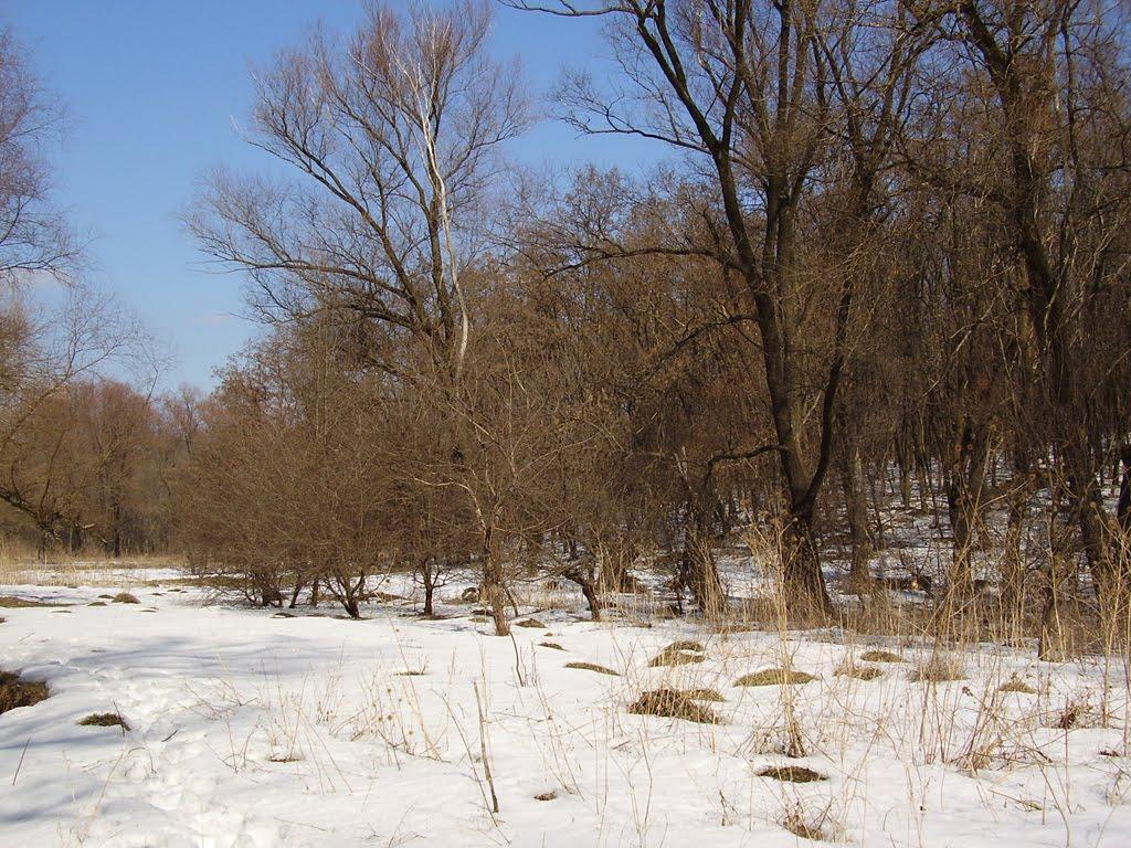Попасна з panoramio.com - Попасная