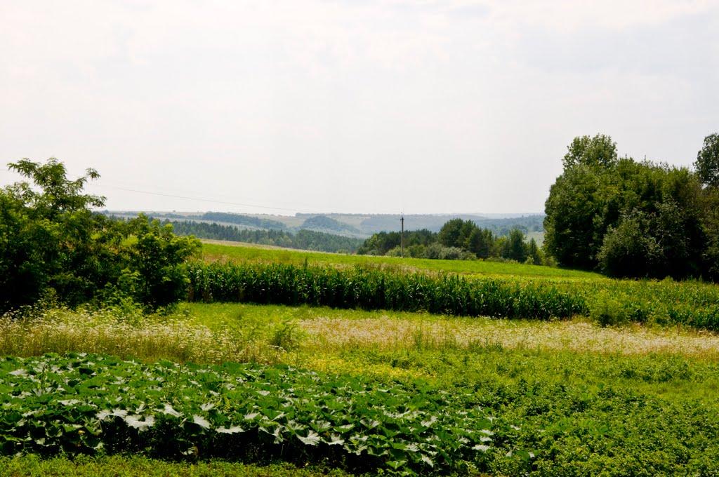 Скипче з panoramio.com - Скипче