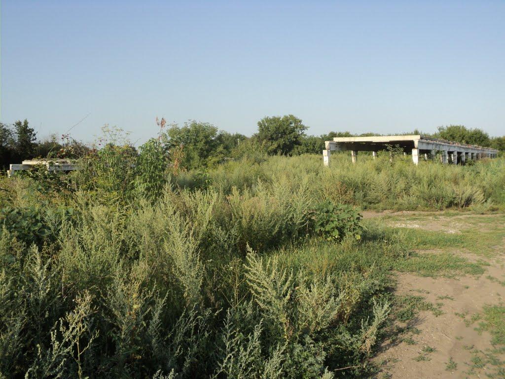 Осоївка з panoramio.com - Осоевка