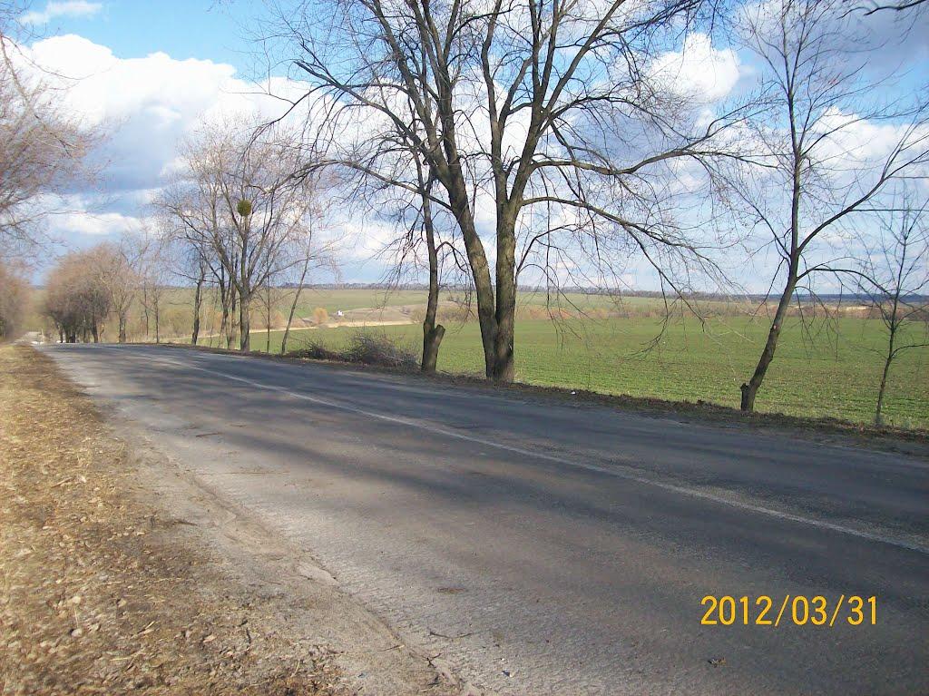 Косяківка з panoramio.com - Косяківка