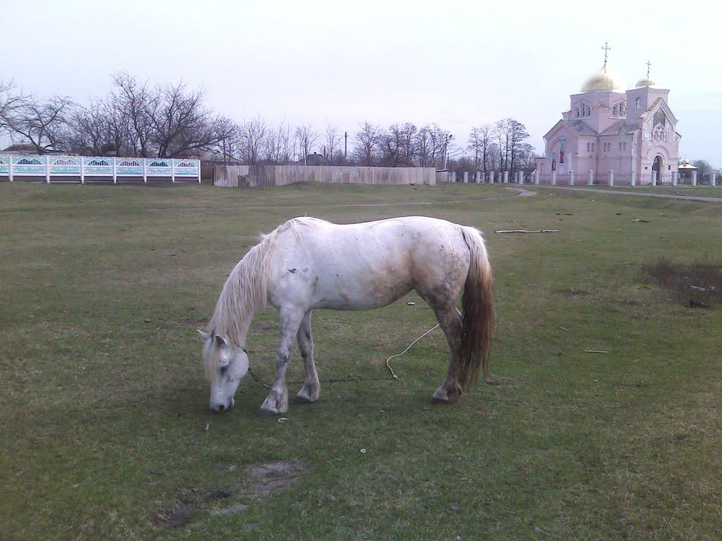 Степанівка з panoramio.com - Степановка