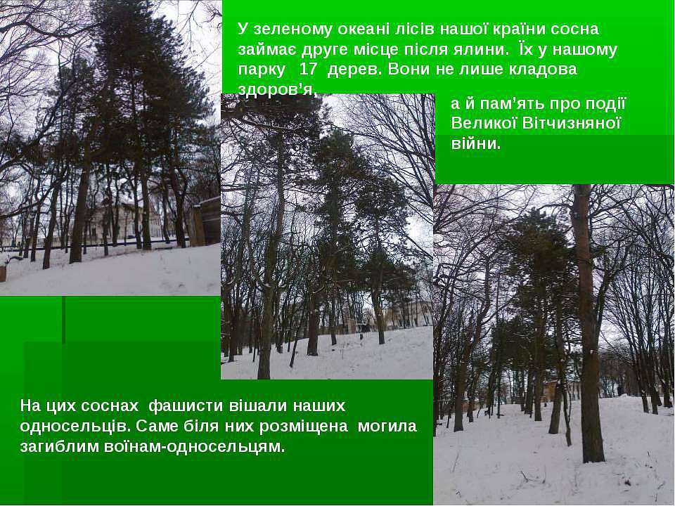 ПАРК - Мокрая Калигорка