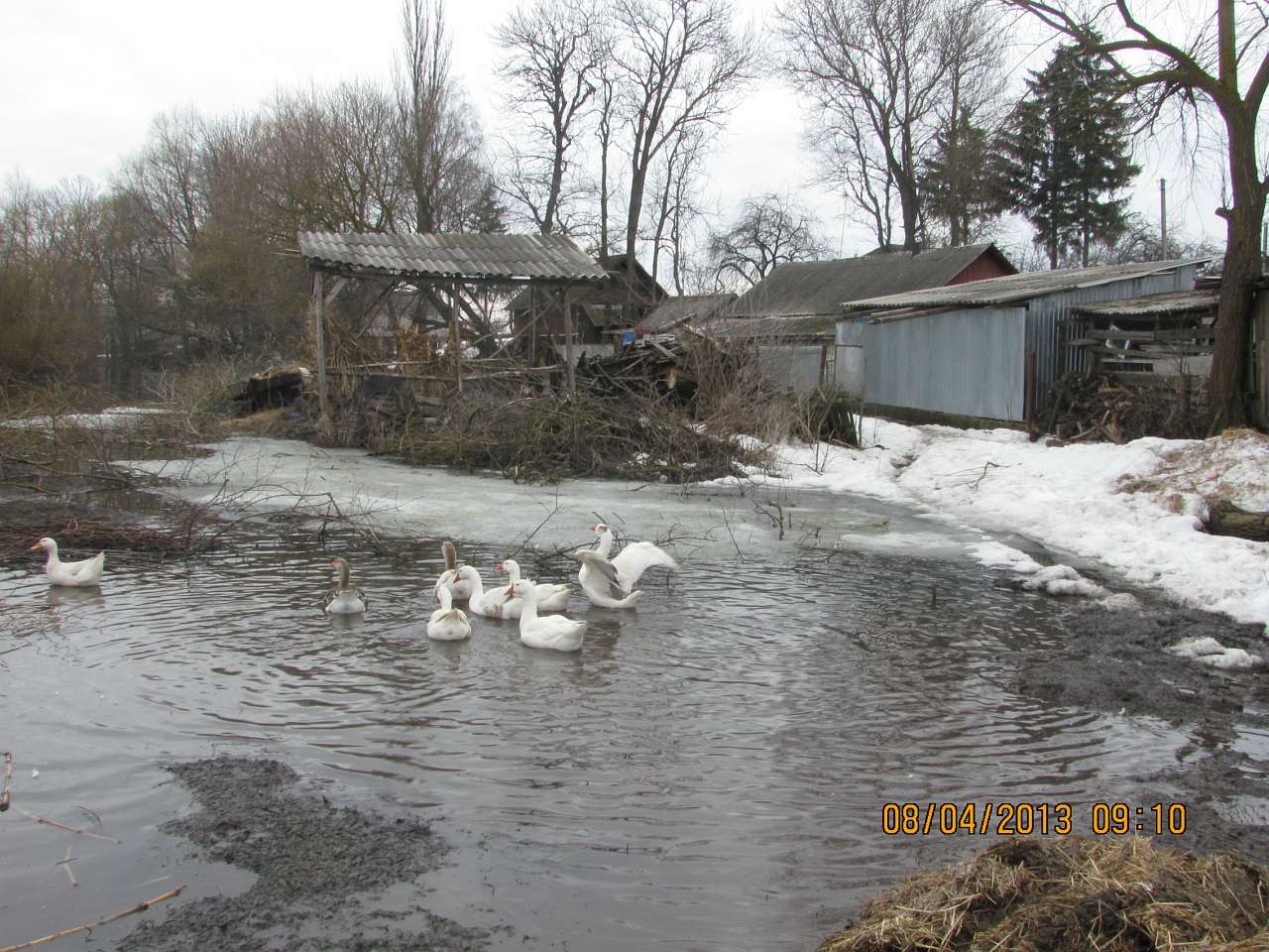 моє село - Klynyny