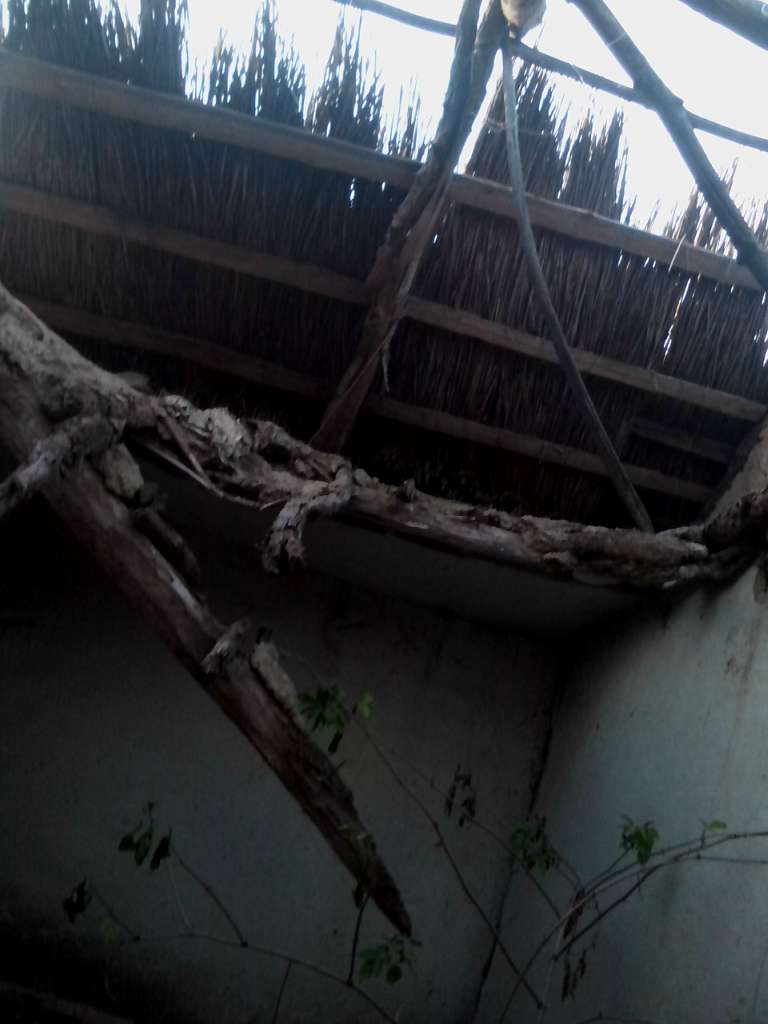 Закинуті місця села Васьківка - Васьковка