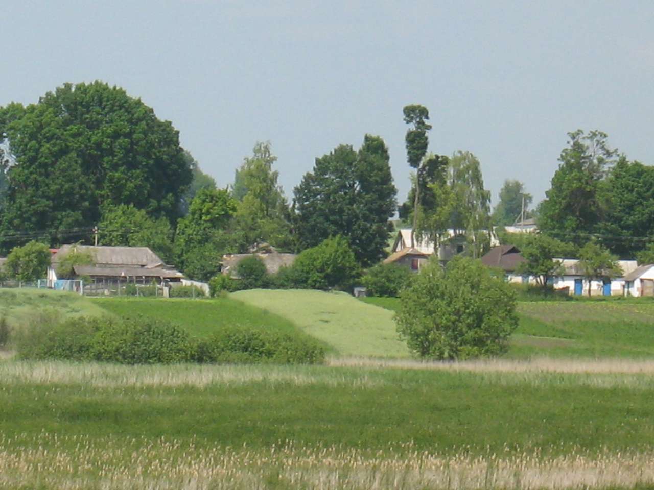 моє село - Klynyny