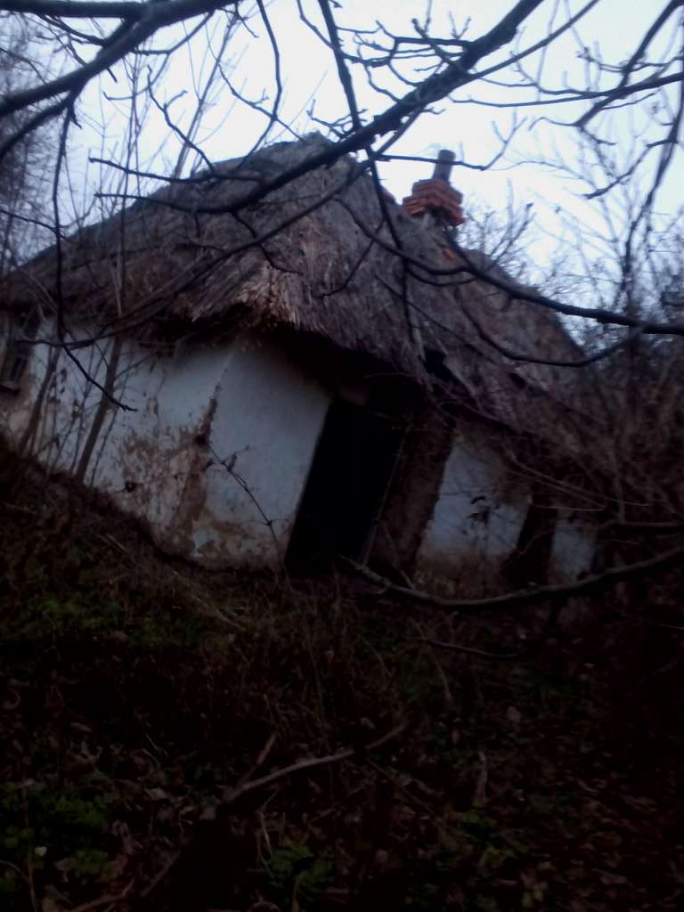 Закинуті місця села Васьківка - Васьківка