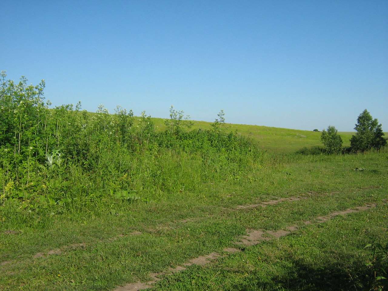 моє село - Клинины