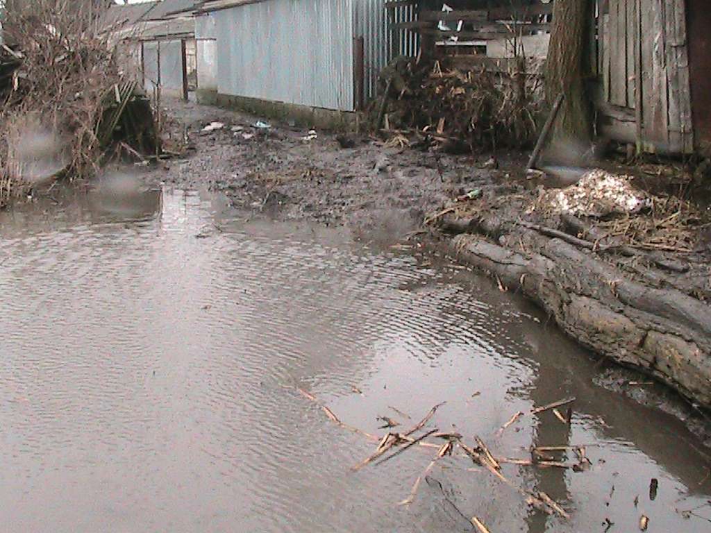 моє село - Клинини