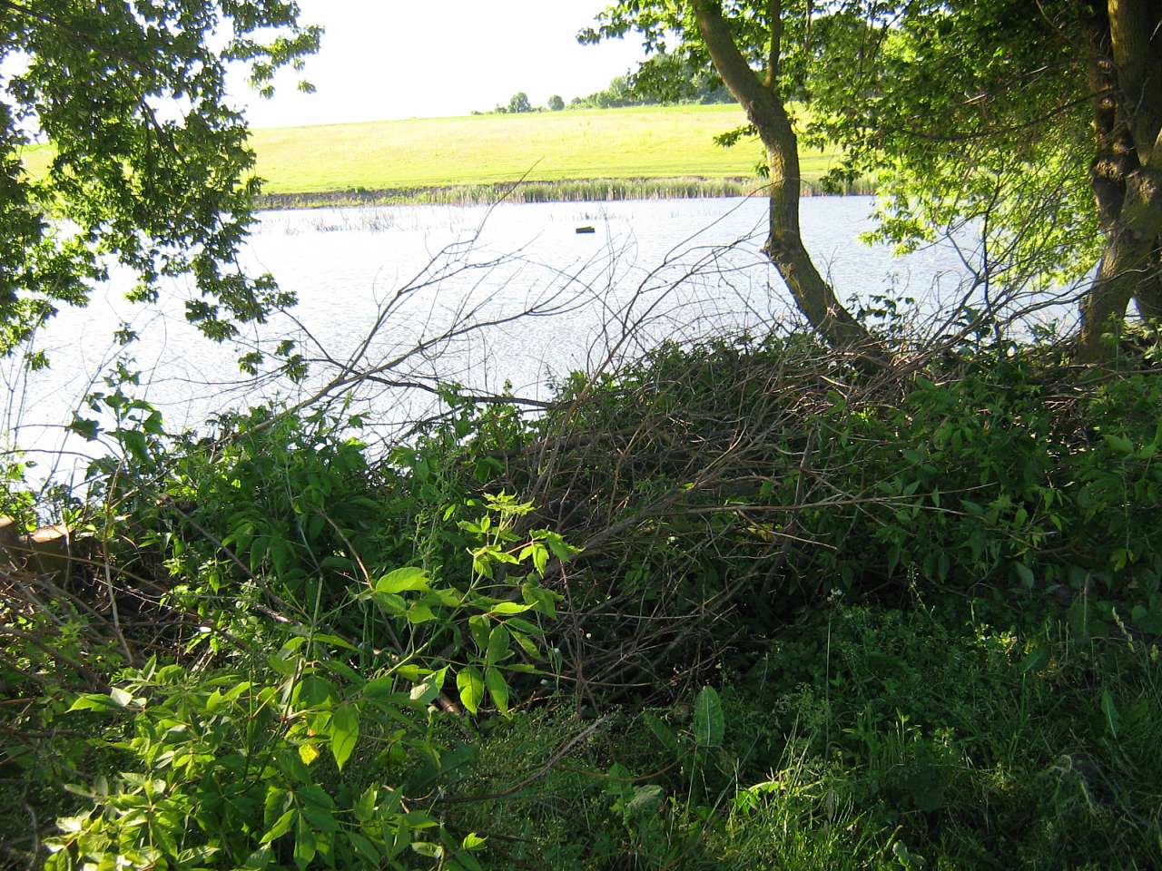 моє село - Клинины