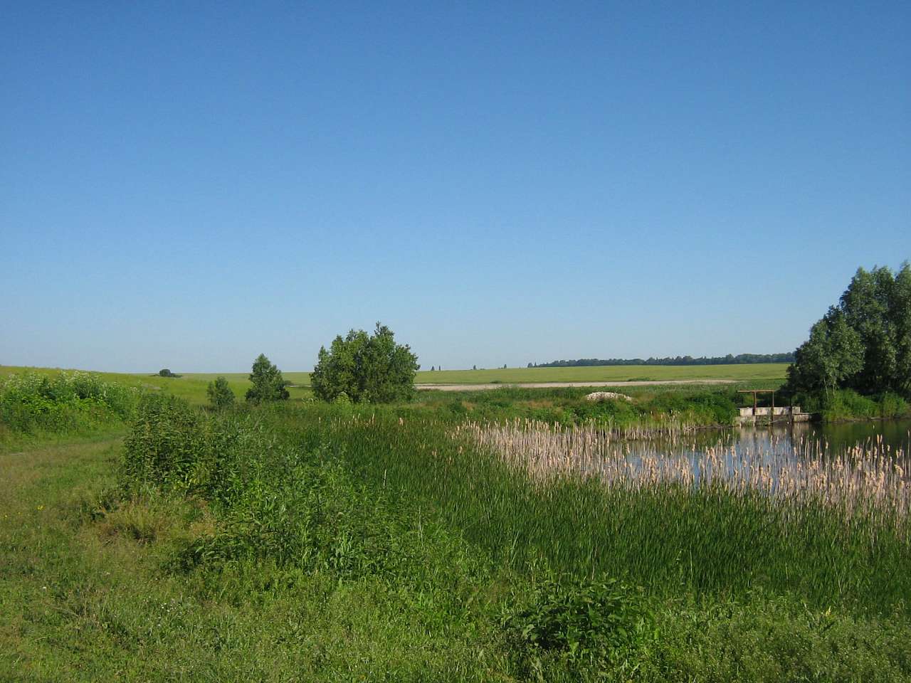 моє село - Klynyny