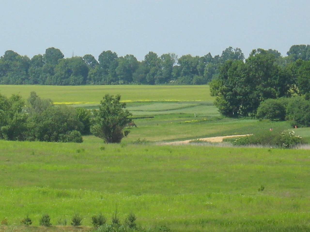 моє село - Klynyny
