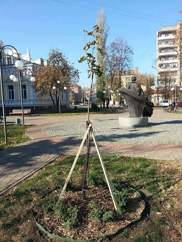 Пам'яті Василя Симоненко - Biyivtsi