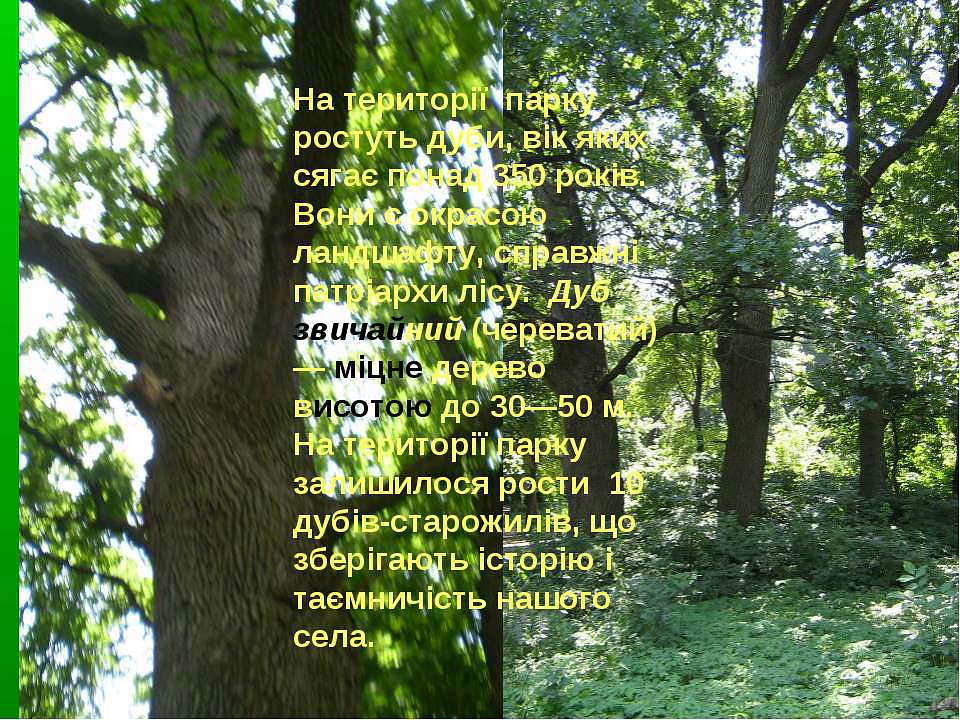 ПАРК - Мокра Калигірка