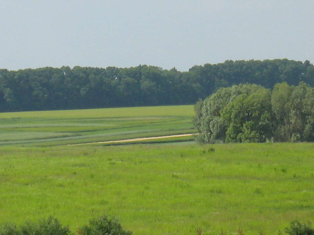 моє село - Klynyny