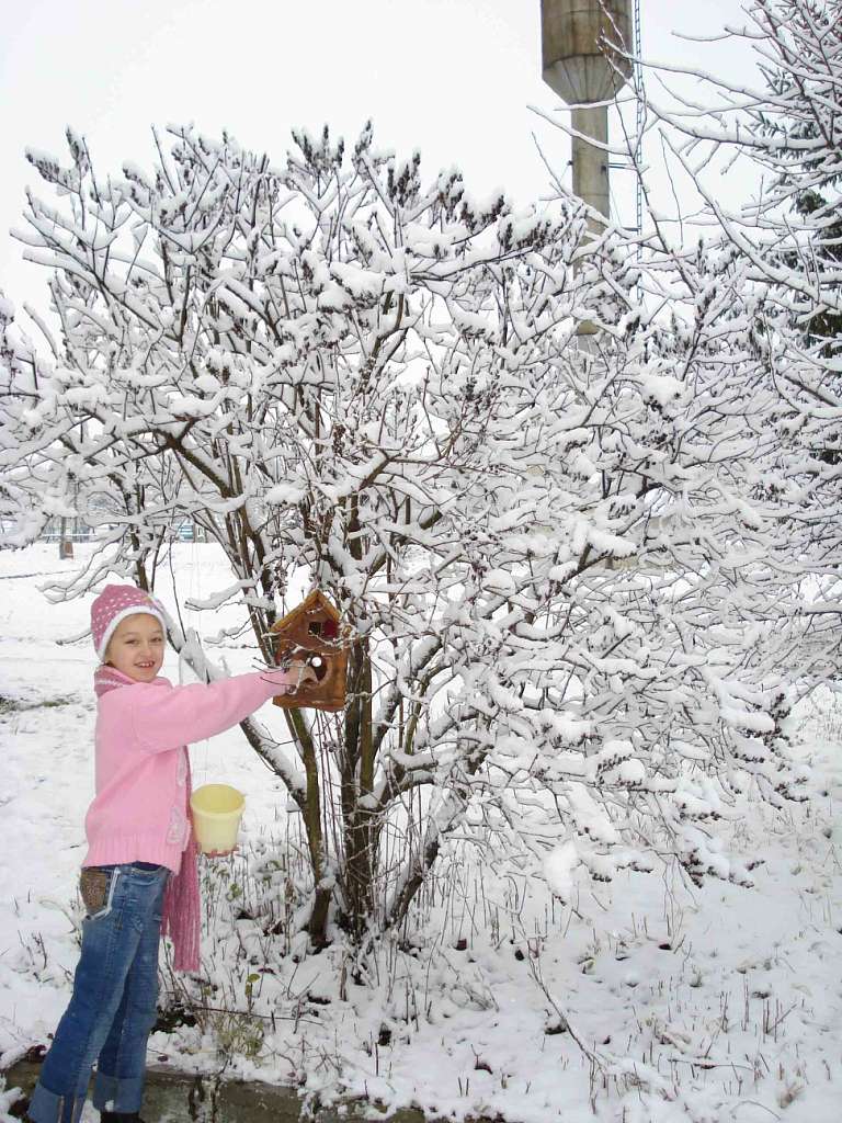 Старий Вовчинець - Старий Вовчинець