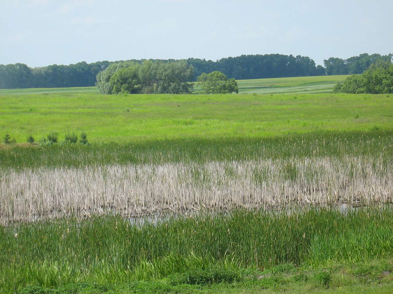 моє село - Клинини