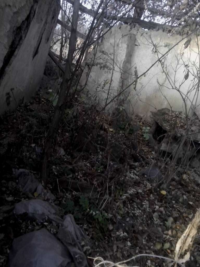 Закинуті місця села Васьківка - Васьковка