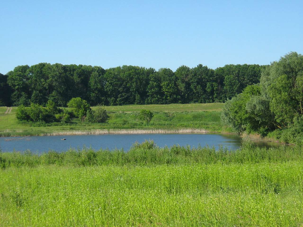 моє село - Klynyny