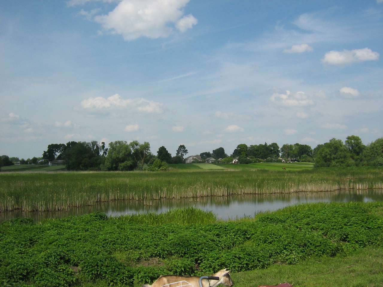 моє село - Klynyny
