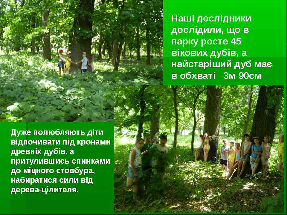 ПАРК - Мокра Калигірка