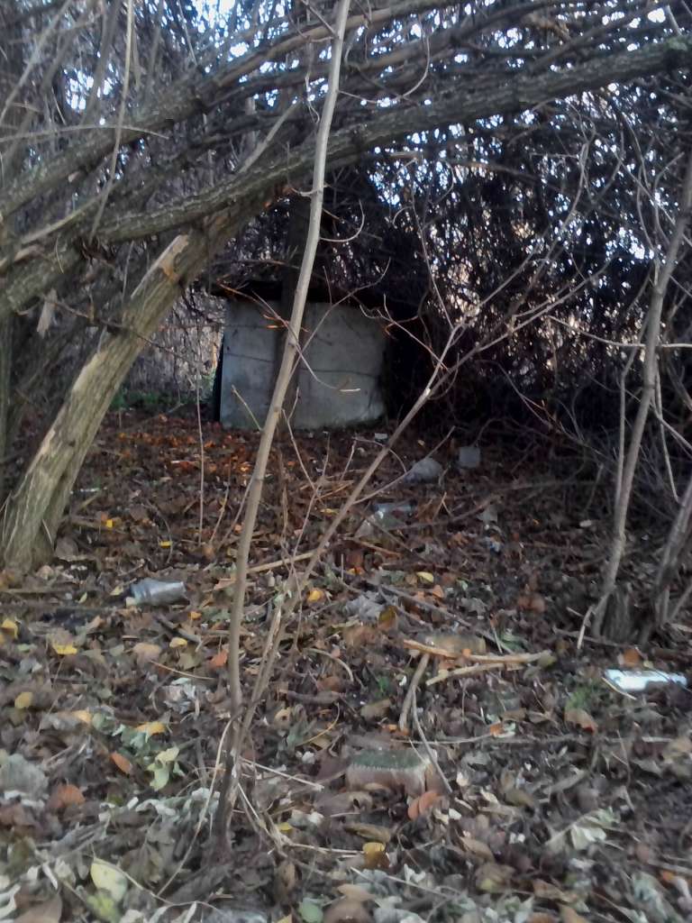 Закинуті місця села Васьківка - Васьківка