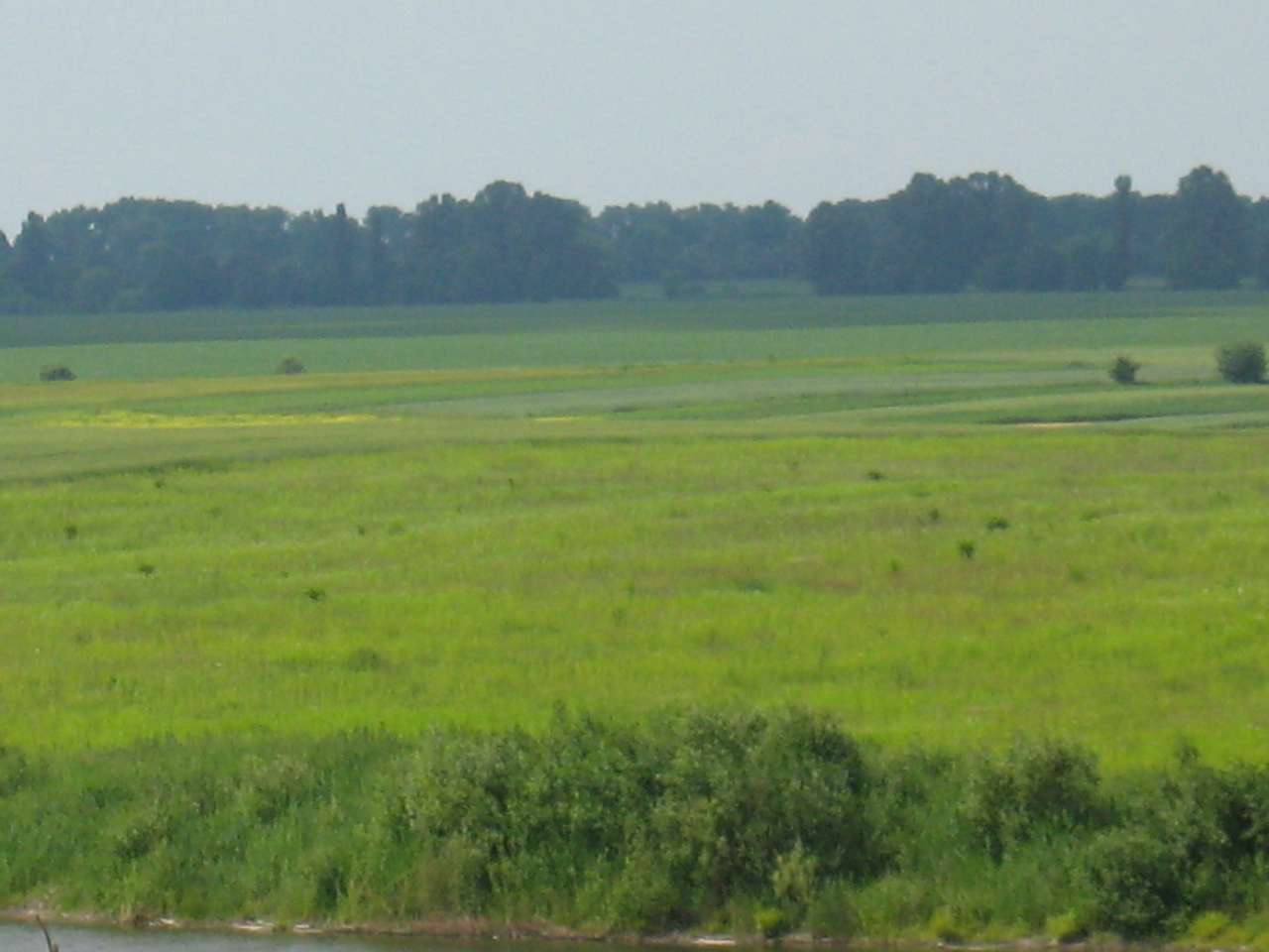 моє село - Klynyny