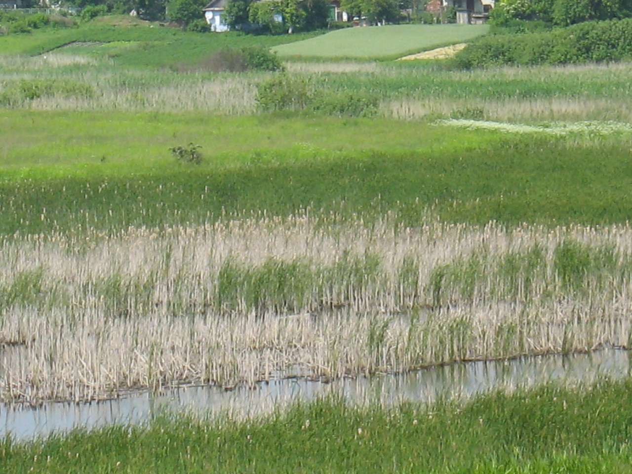 моє село - Klynyny