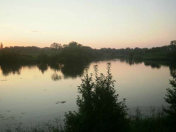 с Новоселиця. - Новоселиця