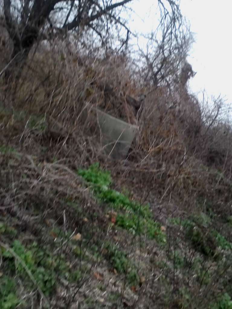 Закинуті місця хутора Горбанівка - Горбанівка