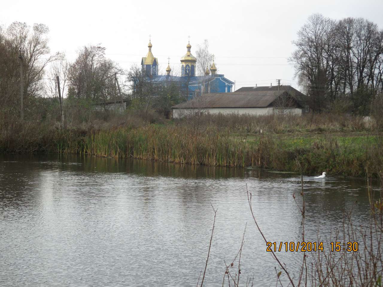 Церква Св. Параскеви 1902 р. - Головли